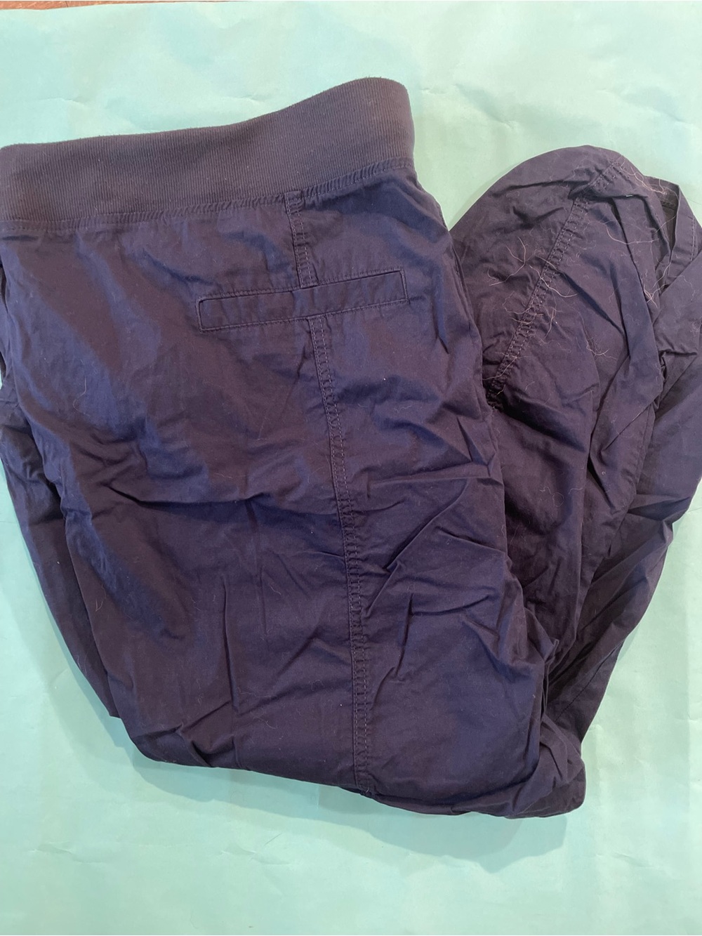 torrid Navy Blue Track Jogger Pants